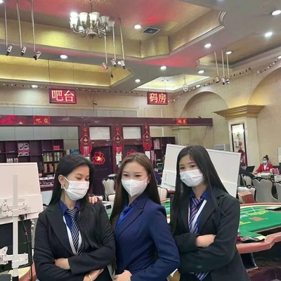 首页-腾龙「河南区」公司网站